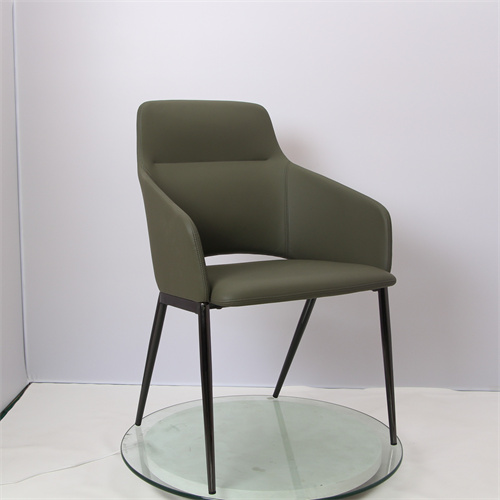 Home Dining Chairs